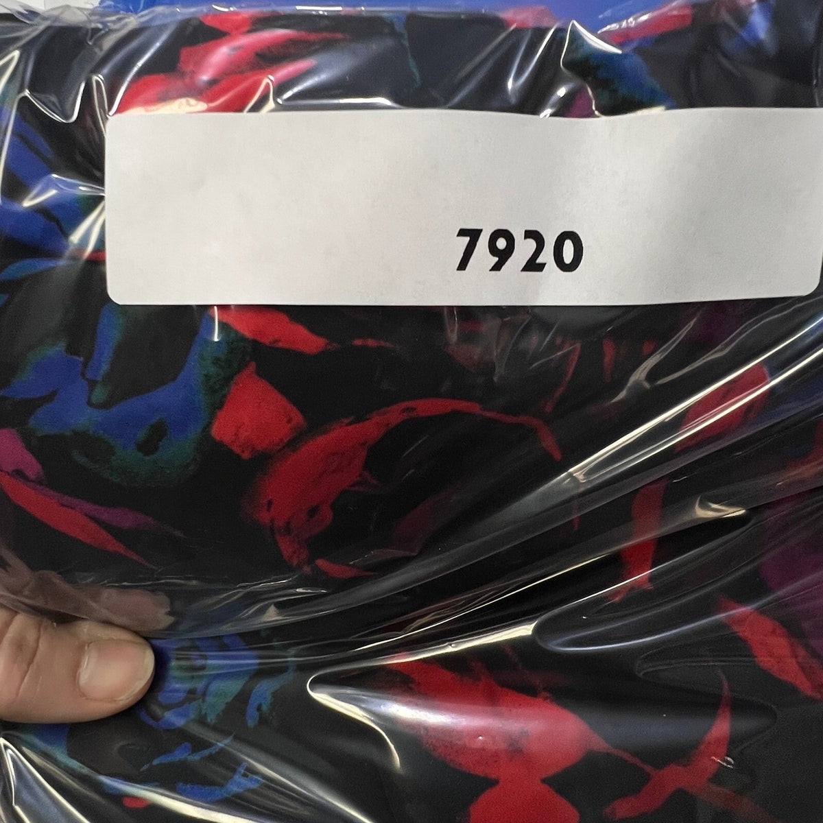 Hunter Bell New York Floral Print Black Blue Red Sleeveless Hi Low Dress Size 8