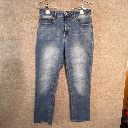 Frye Slim Straight Jeans Womens 6/28 Blue Denim High Rise Stretch Casual Classic