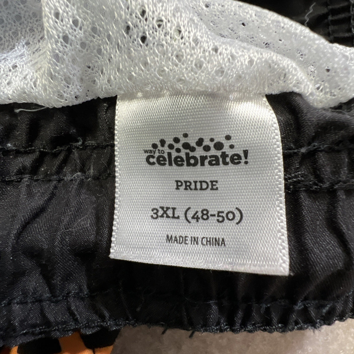 Celebrate Pride Swim Trunks 3XL